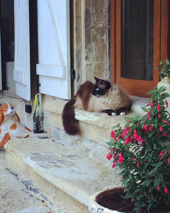 Chez Les Artistes Ξενοδοχείο Servian Εξωτερικό φωτογραφία